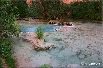 Ufer des Havasu Creek